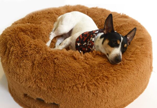 Puff Bean Bags para Mascotas